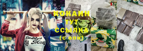 шишки Балабаново