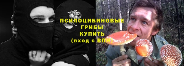 сатива Арсеньев