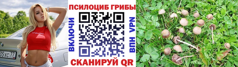 Галлюциногенные грибы MAGIC MUSHROOMS Балей